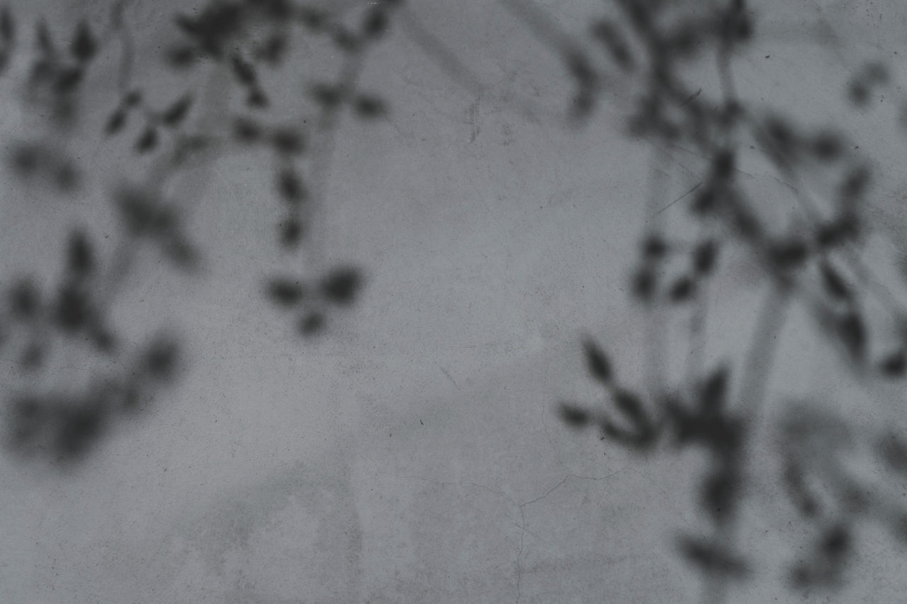 自然を感じる　坂口