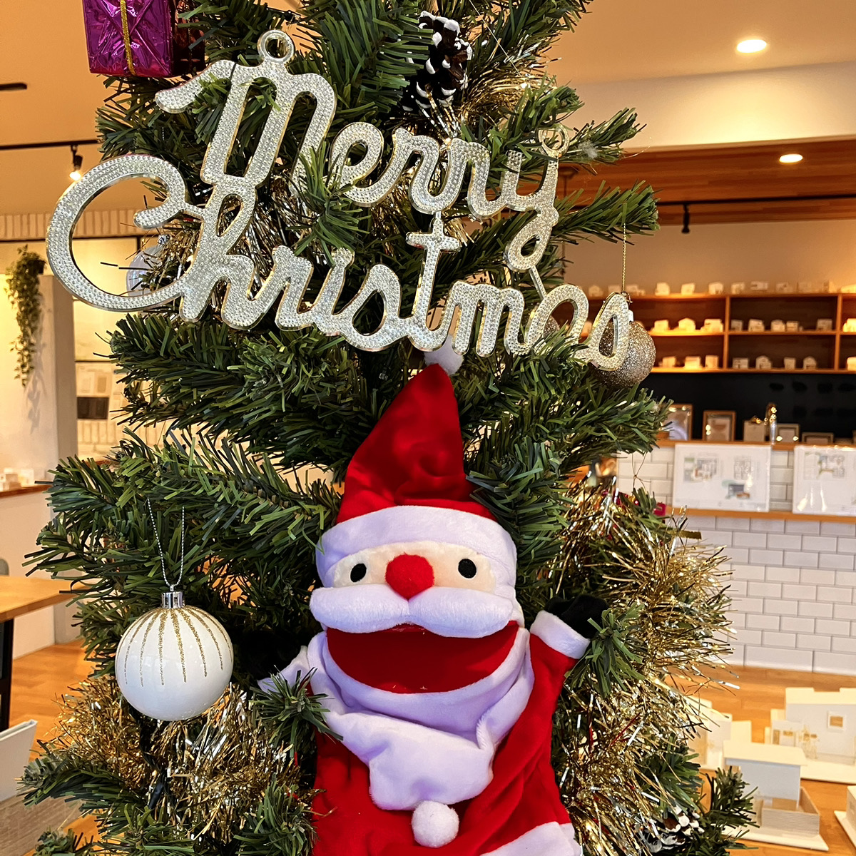 12月スタジオ装飾　須﨑