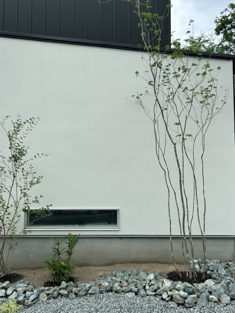 完成物件のご紹介とご案内　坂口