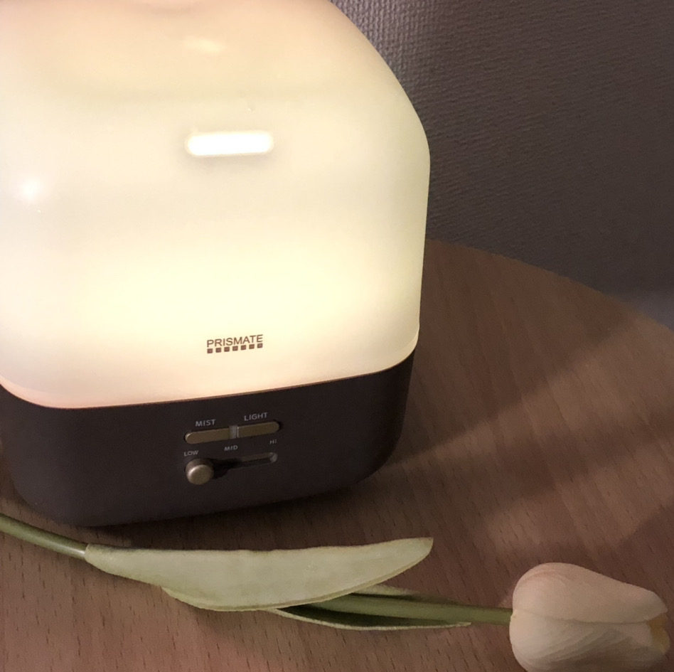 乾燥の冬　荒賀