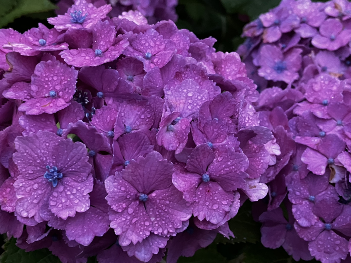 はじめまして　須﨑